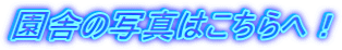 ɂ̎ʐ^͂ցI 